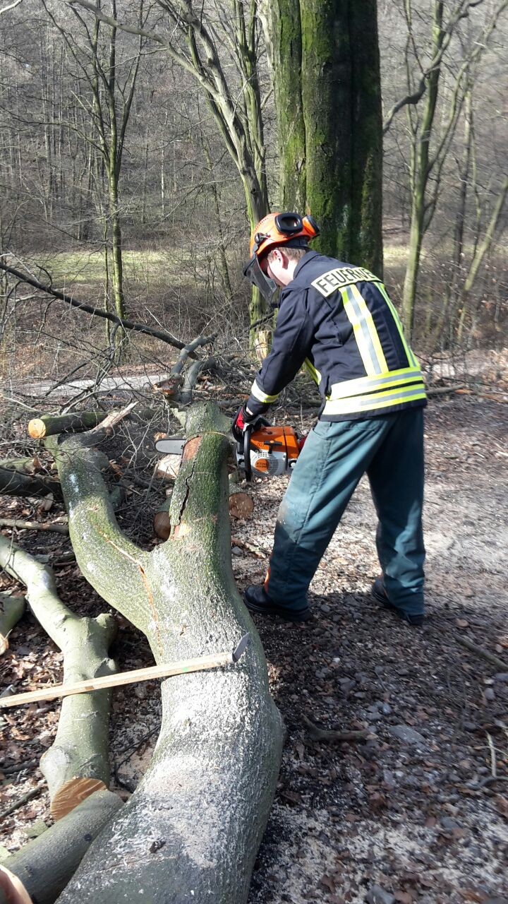 Praktische Einsatz